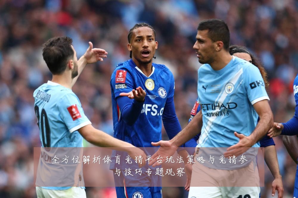 全方位解析体育竞猜平台玩法策略与竞猜参与技巧专题观察